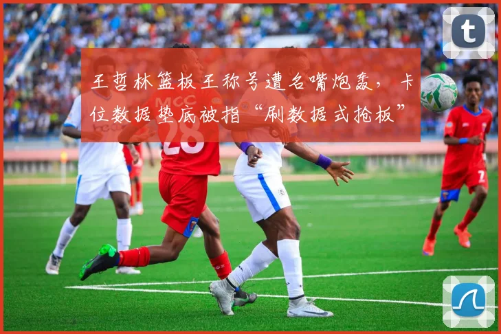 王哲林篮板王称号遭名嘴炮轰，卡位数据垫底被指“刷数据式抢板”